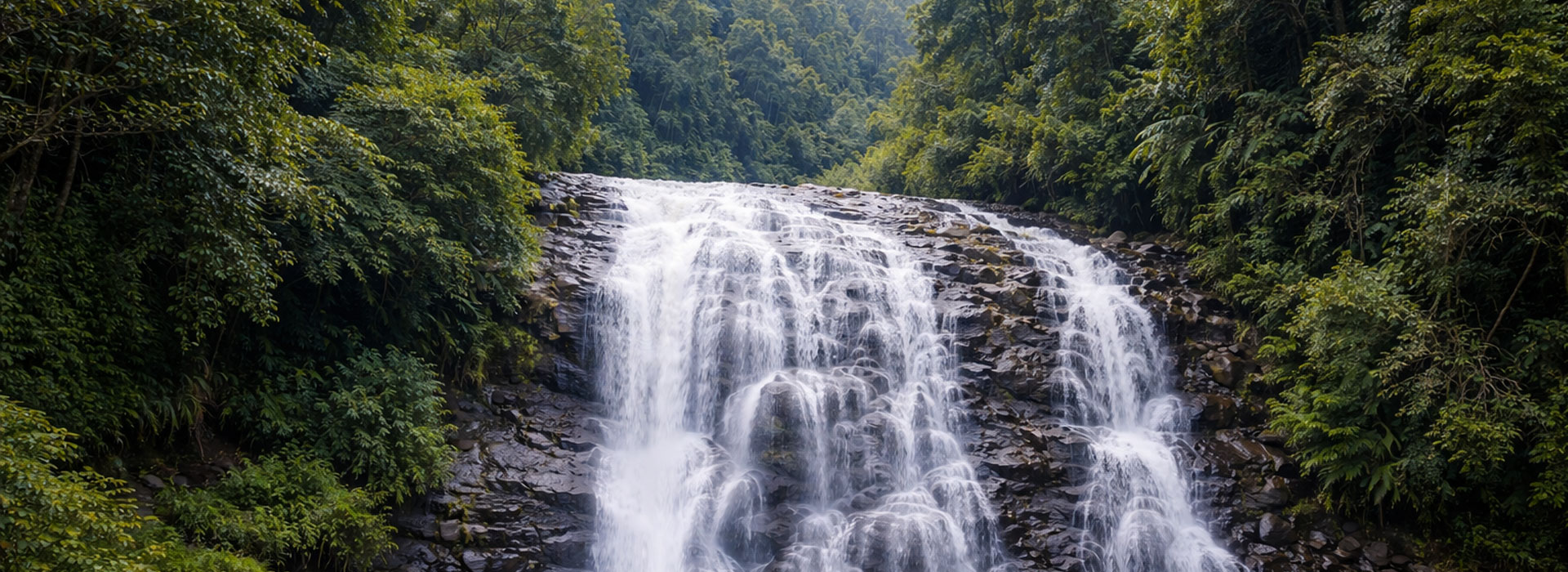 Misty tea estates and winding roads of Valparai in Western Ghats